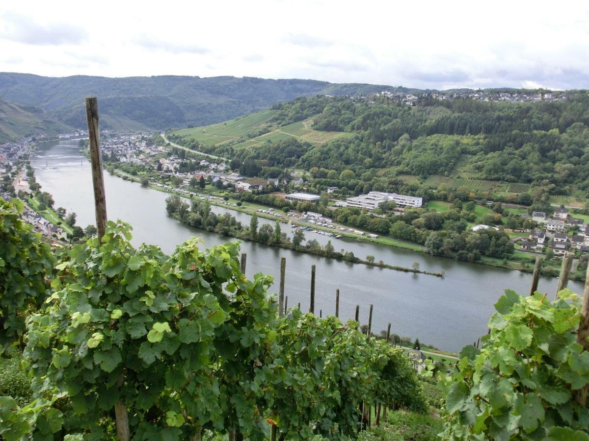 Beim Winzer Apartment Zell an der Mosel Bagian luar foto